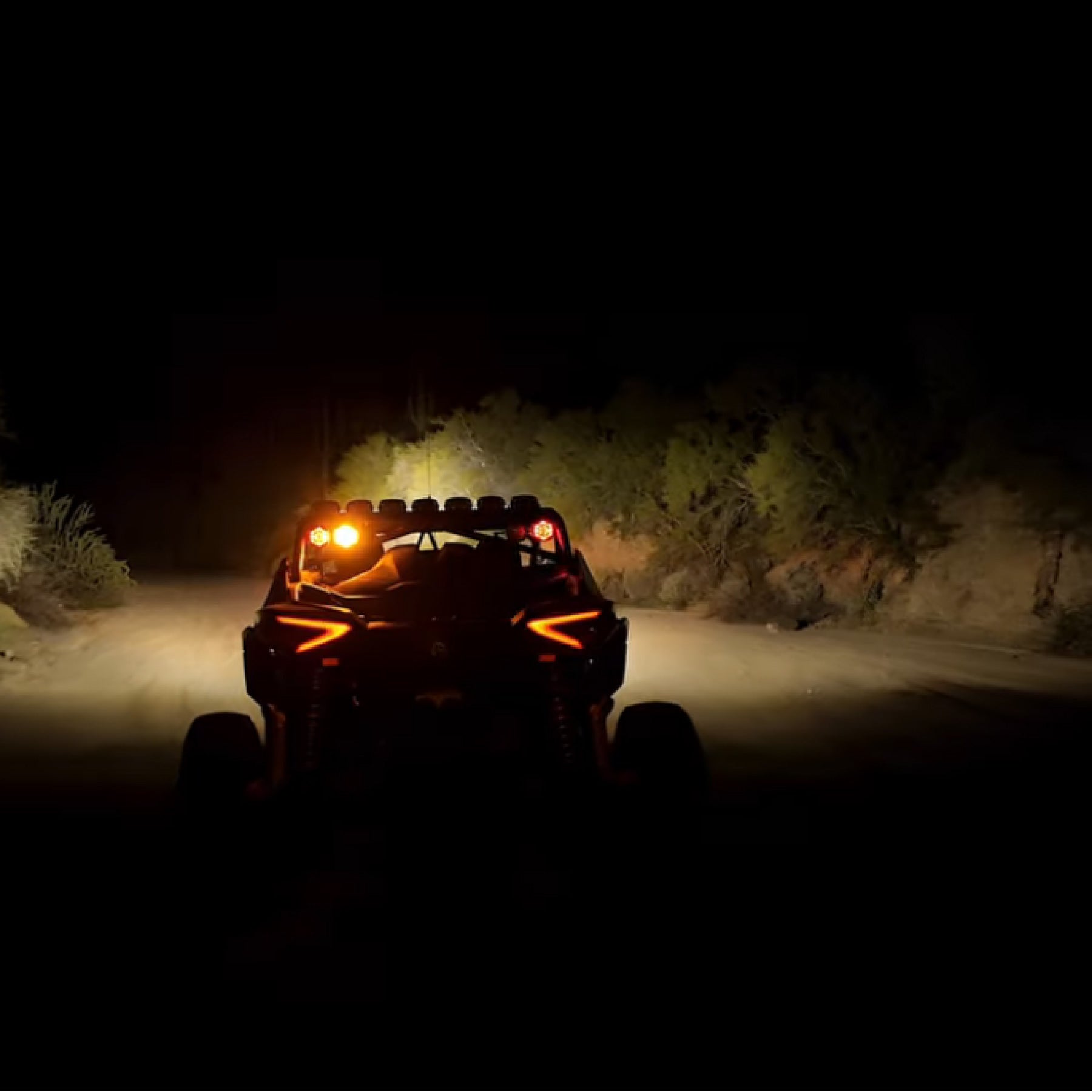 NACHO Quatro Chase